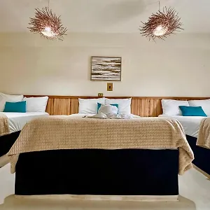  Hotel Cacao